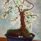 005. BONSAI - APPLE-TREE